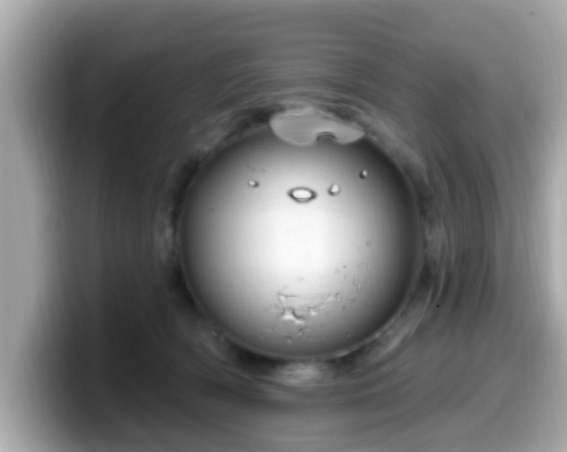 X0000099560418200805231516