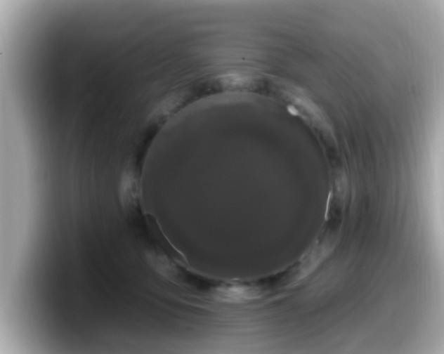 X0000099560419200805231516