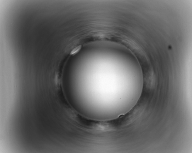 X0000099560420200805231516