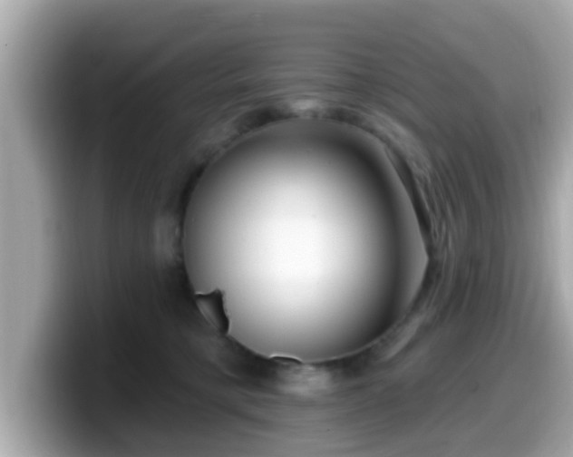 X0000099560421200805231516