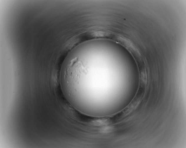 X0000099560422200805231516