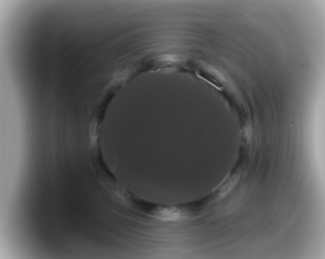 X0000099560423200805231516