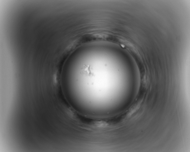 X0000099560424200805231516