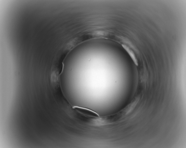 X0000099560425200805231516