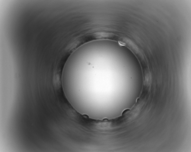 X0000099560426200805231516