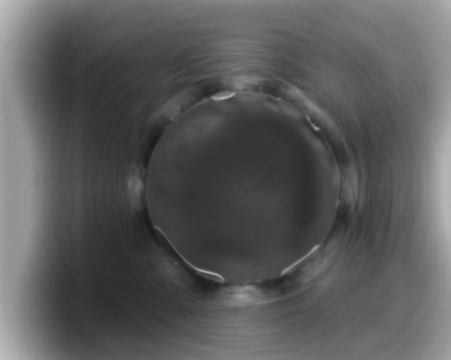 X0000099560427200805231516