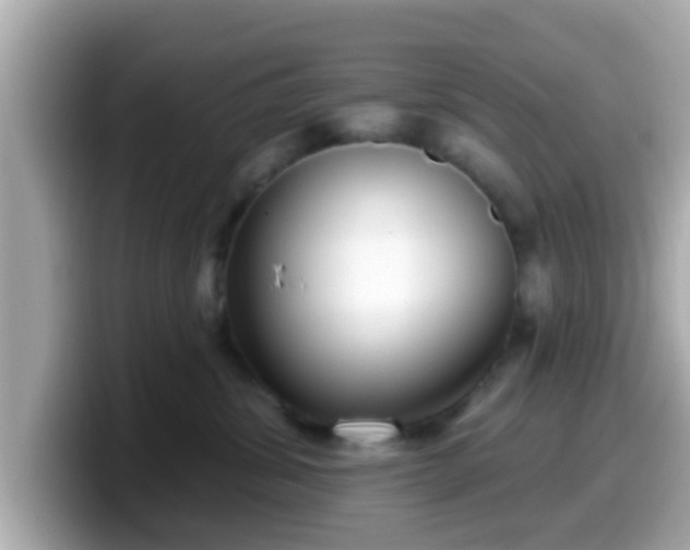 X0000099560428200805231516