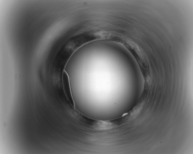 X0000099560429200805231516