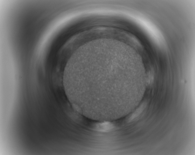 X0000099560431200805231516