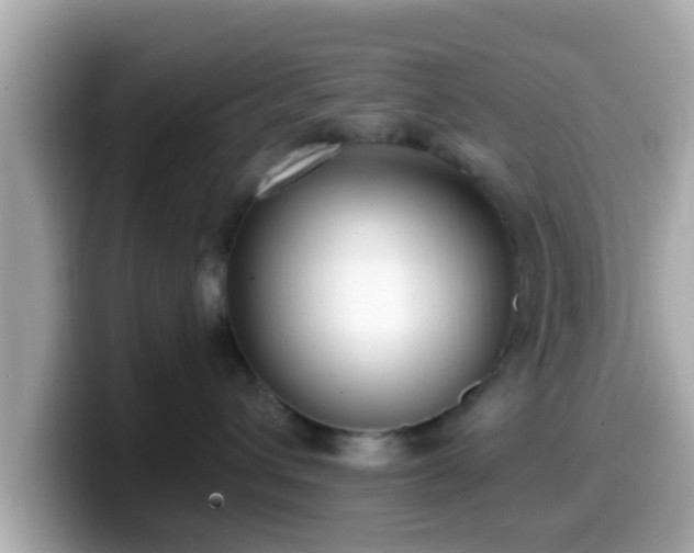 X0000099560432200805231516