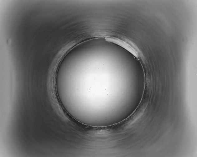 X0000099560433200805231515