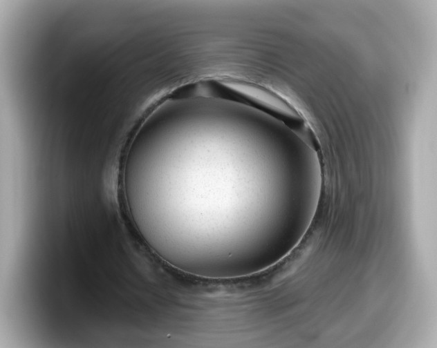 X0000099560434200805231515