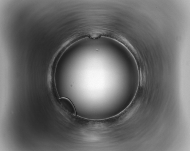 X0000099560435200805231515