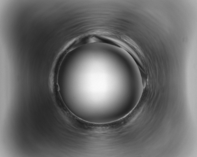 X0000099560436200805231515