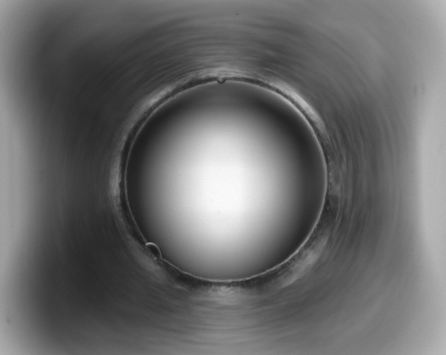 X0000099560437200805231515