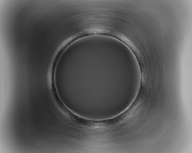 X0000099560438200805231515