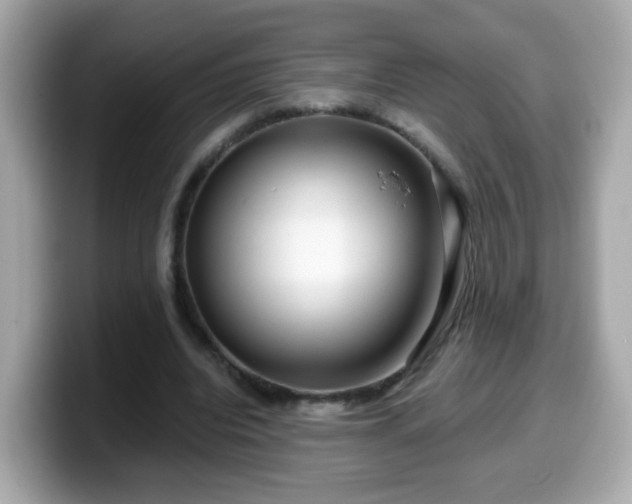 X0000099560440200805231515