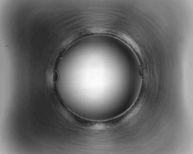 X0000099560441200805231515