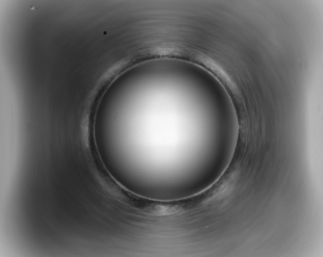 X0000099560442200805231515