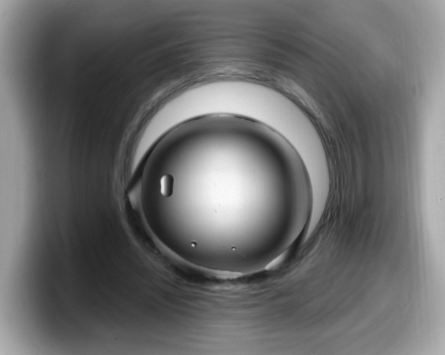 X0000099560444200805231515