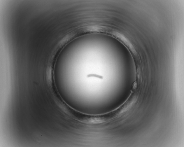 X0000099560445200805231515