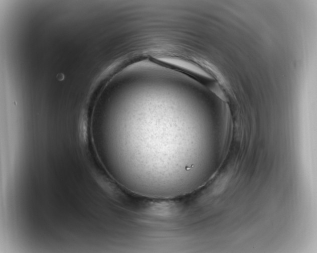 X0000099560446200805231515