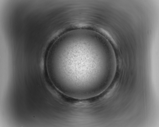 X0000099560447200805231515