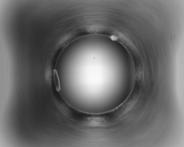 X0000099560448200805231515