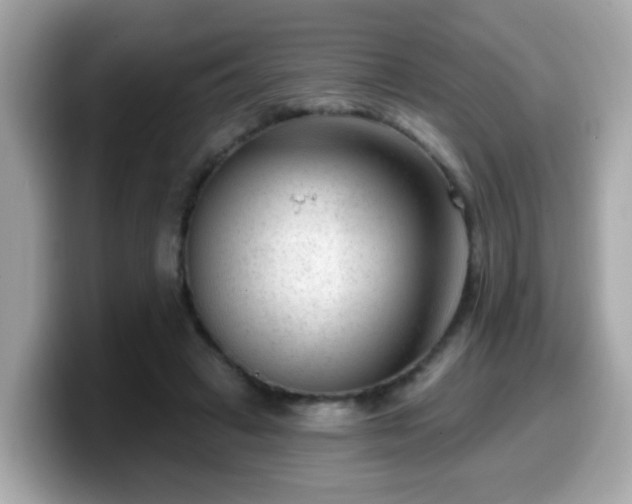 X0000099560449200805231515