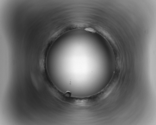 X0000099560450200805231515