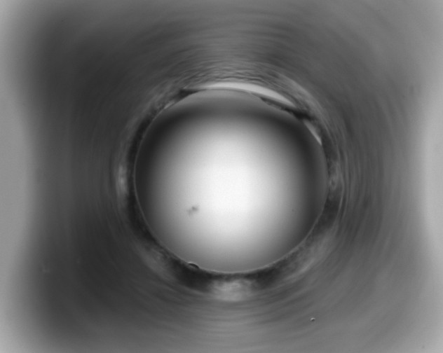 X0000099560452200805231515