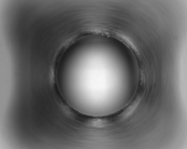 X0000099560453200805231515