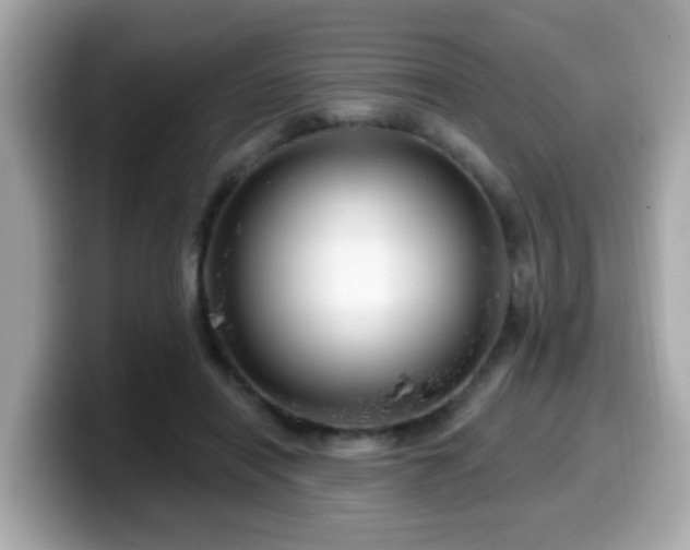 X0000099560454200805231515