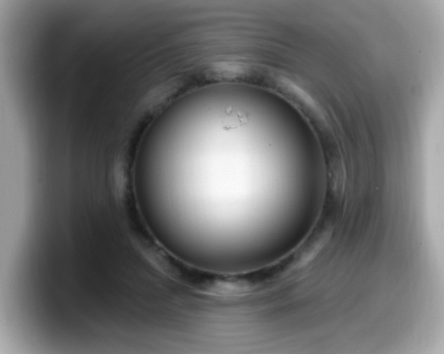 X0000099560455200805231515