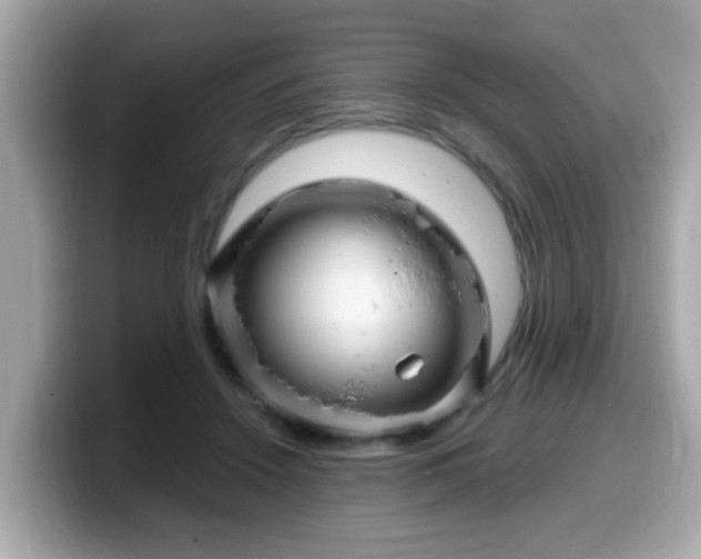 X0000099560456200805231515