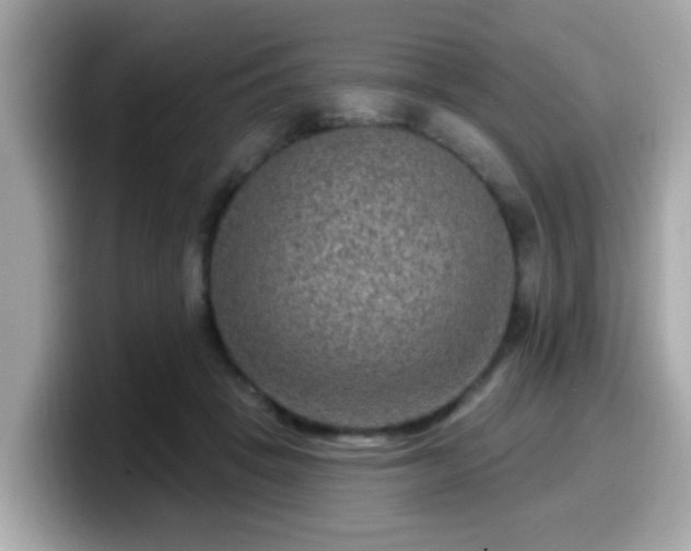 X0000099560457200805231515