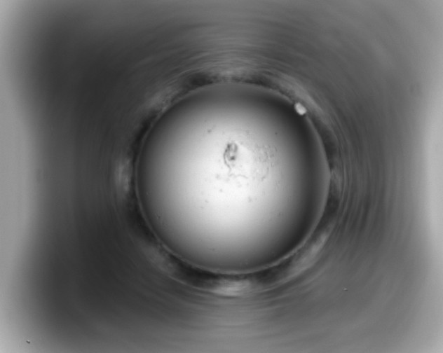 X0000099560458200805231515