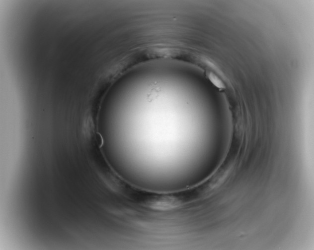 X0000099560459200805231515