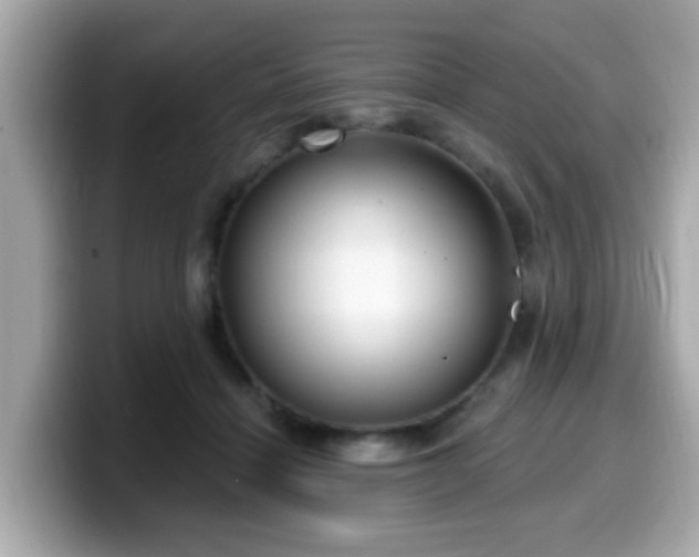 X0000099560460200805231515