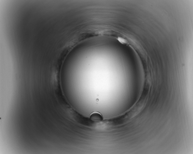 X0000099560461200805231515