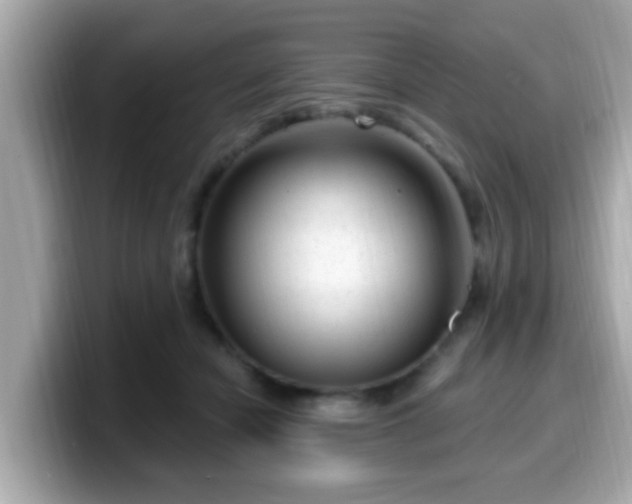 X0000099560462200805231515