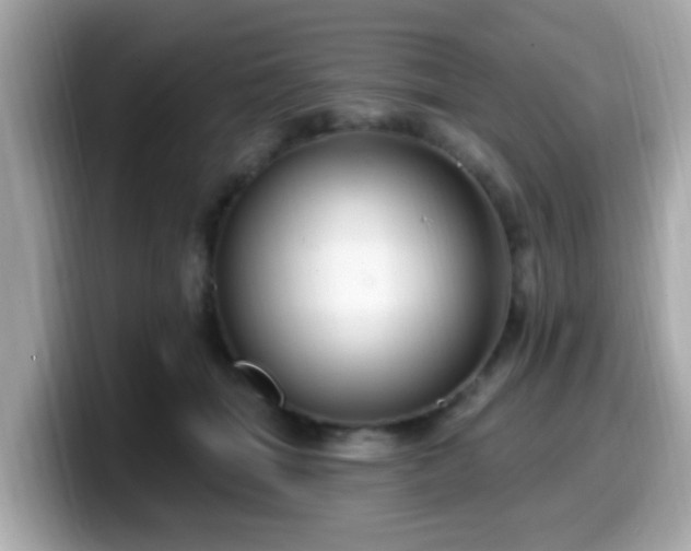 X0000099560463200805231516