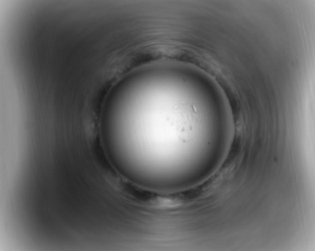 X0000099560464200805231516