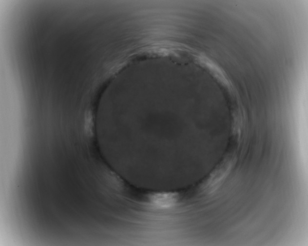 X0000099560465200805231516