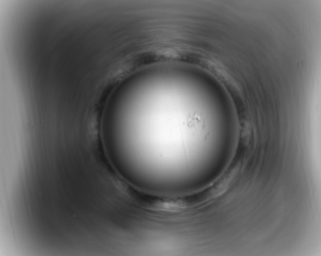 X0000099560466200805231516