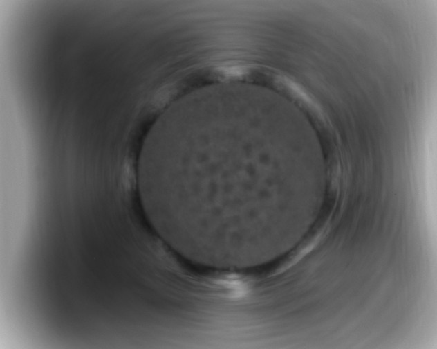 X0000099560467200805231516