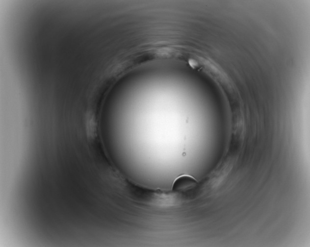 X0000099560469200805231516