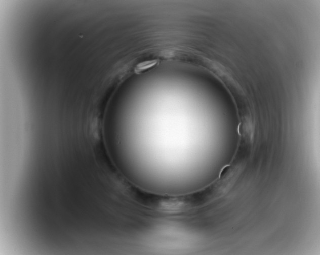 X0000099560470200805231516