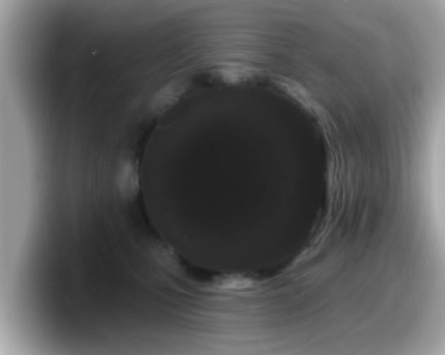 X0000099560471200805231516