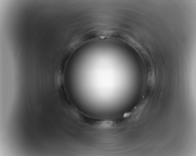 X0000099560474200805231516